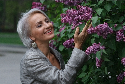 Fitoterápicos na Menopausa