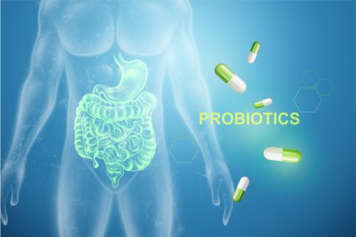 Probióticos: como eles ajudam na saúde intestinal?