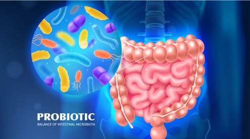 Probióticos: como eles ajudam na saúde intestinal?