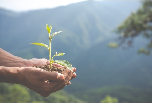 Sustentabilidade e Planos de Saúde