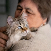 Benefícios dos Pets para a Saúde Mental