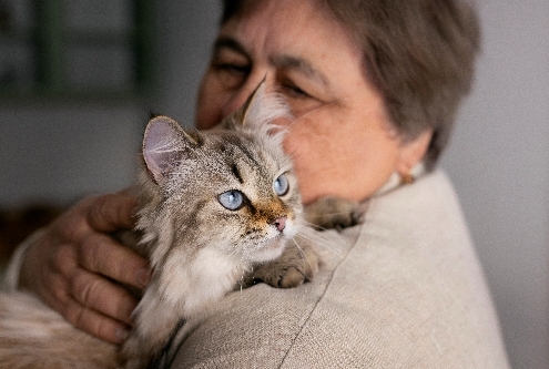 Benefícios dos Pets para a Saúde Mental