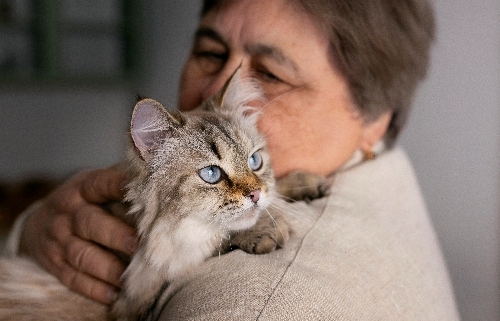 Benefícios dos Pets para a Saúde Mental